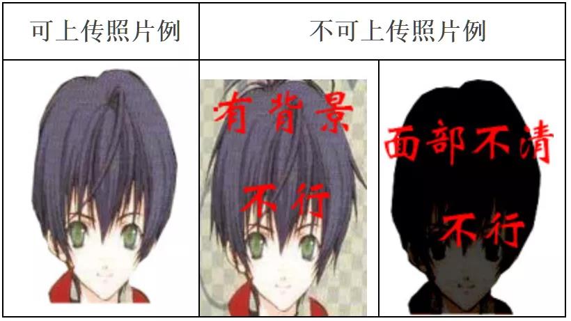照片示例图
